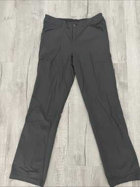 Patagonia Grey Hiking/Outdoor Performance Pants